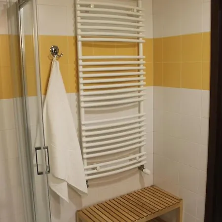 Nad Jeziorem Sukiel Z Wlasna Plaza 公寓 奥尔什丁